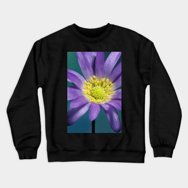 Spring Anemone Crewneck Sweatshirt by SharonJ